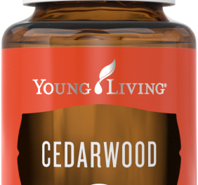 Olejek eteryczny Young Living CEDARWOOD Drzewo cedrowe  15ml,  antyseptyczny, przeciw wirusowy , działa przeciwbólowo przy reumatyzmie