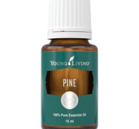 Young Living Pine  olejek SOSNOWY 15ml, stany zapalne skóry, uporczywy katar i kaszel,  łagodzi stany depresyjne