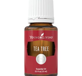 Drzewo herbaciane Tea Tree 15 ml Young Living przeciwzapalny, przeciwwirusowy, przeciwgrzybiczy