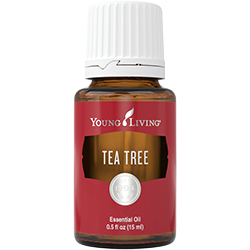 Drzewo herbaciane Tea Tree 15 ml Young Living przeciwzapalny, przeciwwirusowy, przeciwgrzybiczy