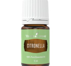 Citronella Young Living 5 ml podnosi na duchu, dodaje energii